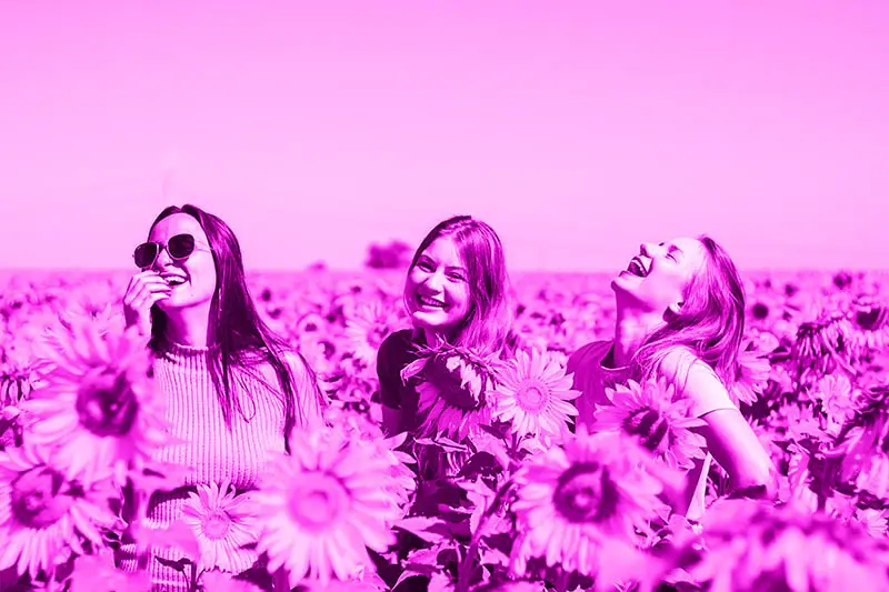 3 young women having fun in a field of sunflowers, surround yourself with positive people that align with the energy of manifesting your dreams