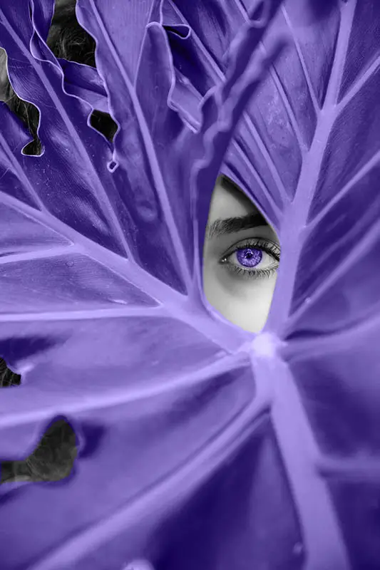 Eye of a woman looking through a leaf, what you focus on you will attract through the law of attraction